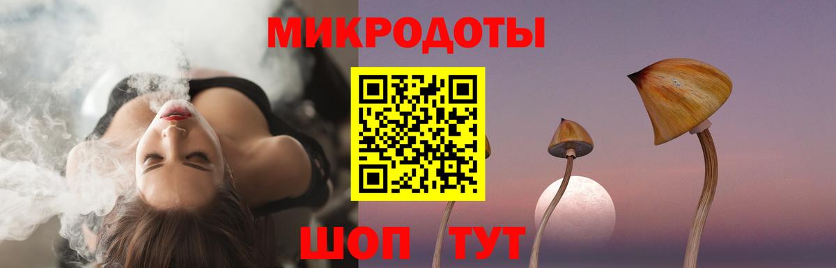 Псилоцибиновые грибы GOLDEN TEACHER Славгород